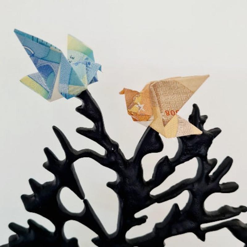 Geldgescheine zu Tauben gefltet. Die kleinen Vögel sitzen in einer Baumkrone und sind als Geldgeschenk für einen Geburtstag eine tolle Idee.