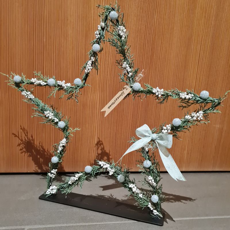 Die Metallsterne, Trenddeko 2023 mit Trockenblumen, indoor, Wintergarten, Geschenkidee.