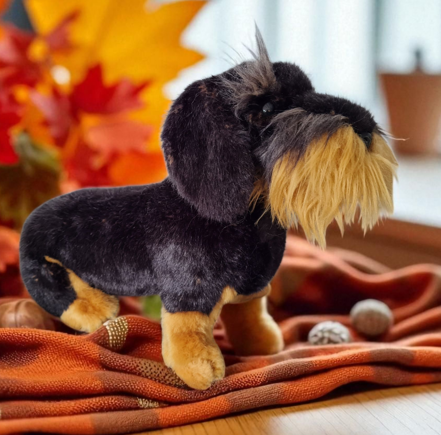 Schatzsuche: Dackel Lumpi sucht sein Würstchen