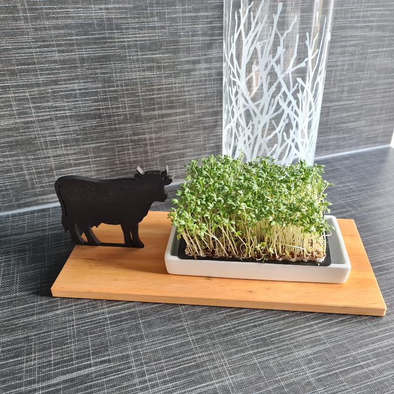 Microgreen in der Schale erinnert an eine grüne Weide. Die Kuh in Form einer schwarzen Silhouette steht grasend davor. Das Schälchen ist auf einem Holzbrett angerichtet, dieses kann mit Wunschtext personalsiert werden. Ein schönes Geschenk für Bauern, Landwirte und Kuh Fans. 