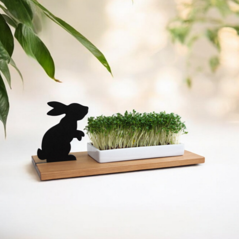 Die Kresse in der Schale erinnert an eine grüne Wiese. Der kleine Hase in Form einer schwarzen Silhouette steht schnuppernd davor. Das Schälchen steht auf einem Holzbrett, dieses kann mit Wunschtext personalsiert werden. Ein schönes Geschenk für Mann, Papa, Opa in den besten Jahren.