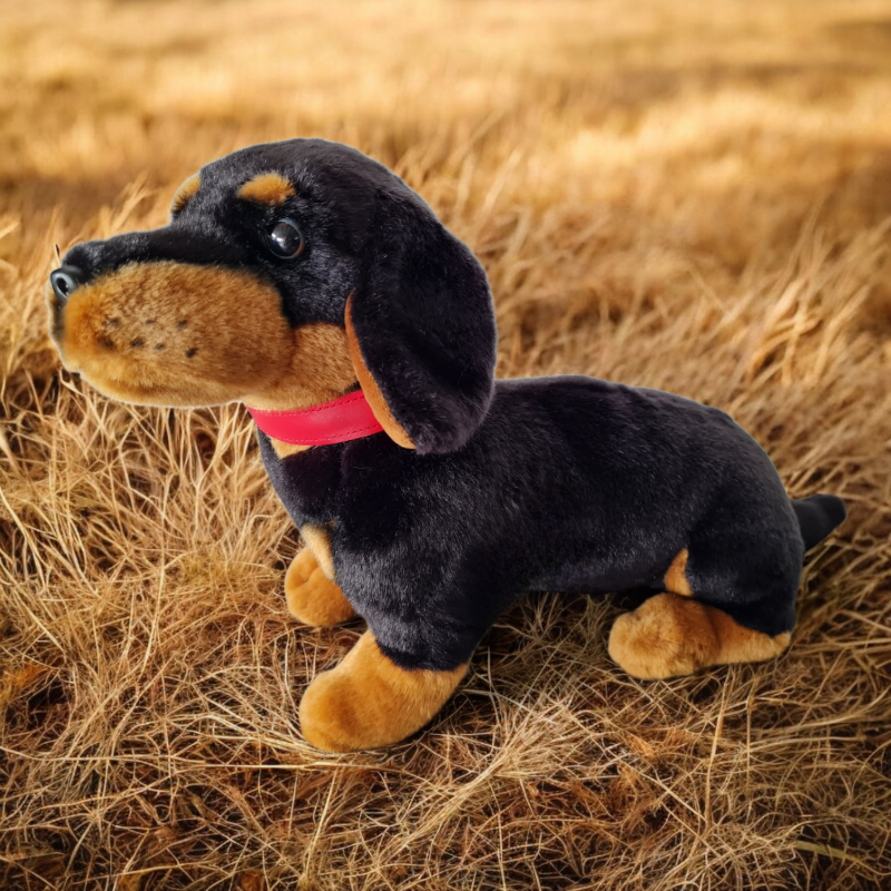 Kurzhaardackel als naturgetreues Kuscheltier, kindgerecht gestaltet und perfekt zum Kuscheln