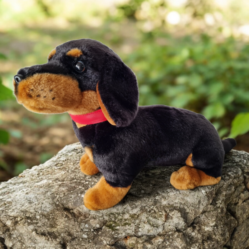 Weiches Kuscheltier Kurzhaardackel mit freundlichem Gesicht, ideal für Kinder und passend zur Schatzsuche