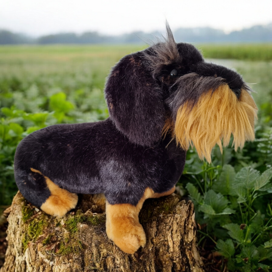 Kuscheliger Rauhaardackel als realistisches Kuscheltier für Kinder. Ein treuer Freund zum Spielen und Trösten.