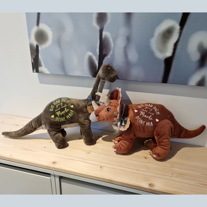 Ein Liebesgeschenk der Ewigen Liebe, Kuscheltier Dinosaurier mit Wunschtext