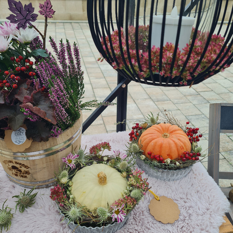 Eine herbstliche Tischdekoration zu einem Geburtstagsfest. Kürbisse in kleinen Nestern aus Distel und Hagebutte werden mit Drahtlaternen und herbstlichen Pflanzkübeln ergänzt.